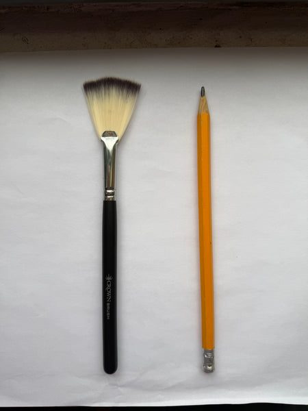 NEW: Deluxe Soft Highlighter Fan Brush