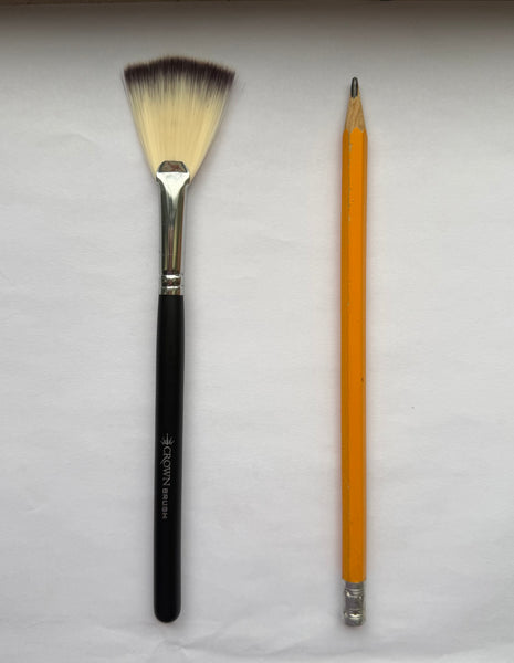 NEW: Deluxe Soft Highlighter Fan Brush