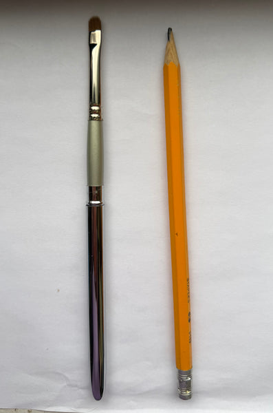 NEW: Silver Handle Deluxe Covered Lip Brush